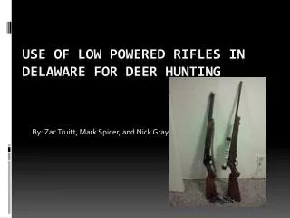 Use of Low P owered Rifles in Delaware For Deer Hunting
