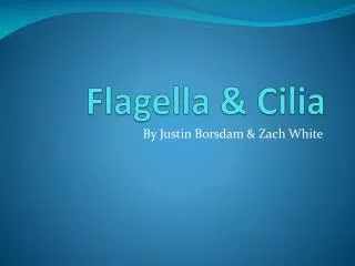 Flagella &amp; Cilia