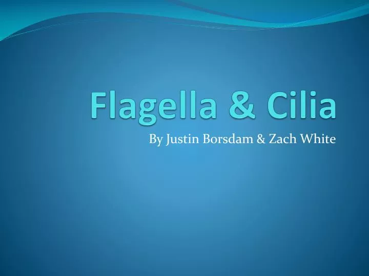 flagella cilia