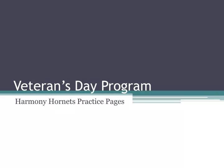veteran s day program