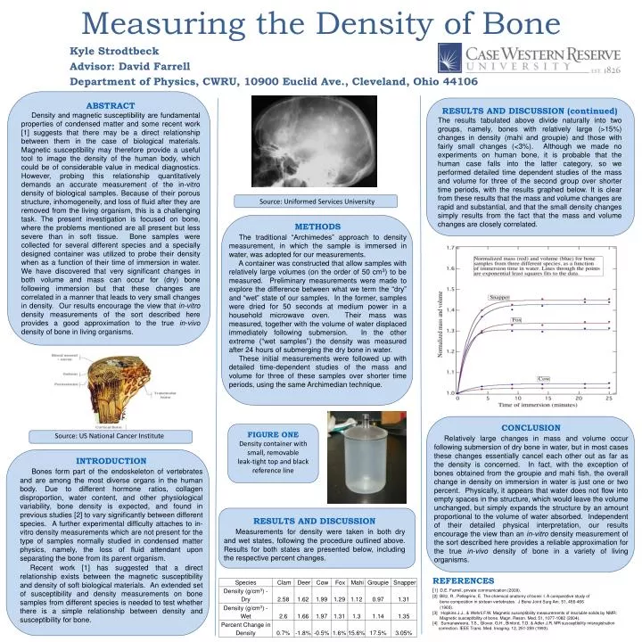 measuring the density of bone
