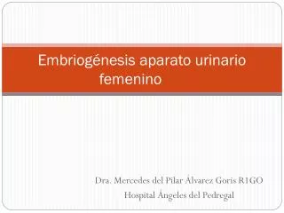 embriog nesis aparato urinario femenino