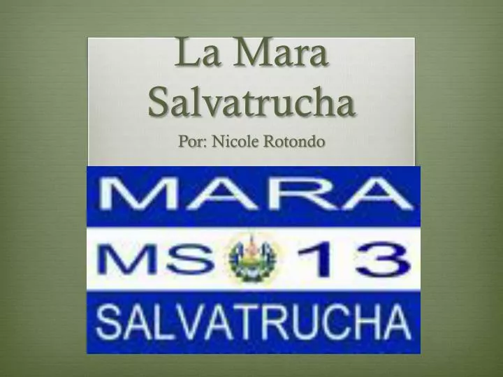 la mara salvatrucha