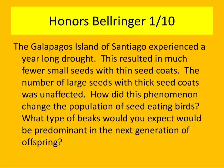honors bellringer 1 10