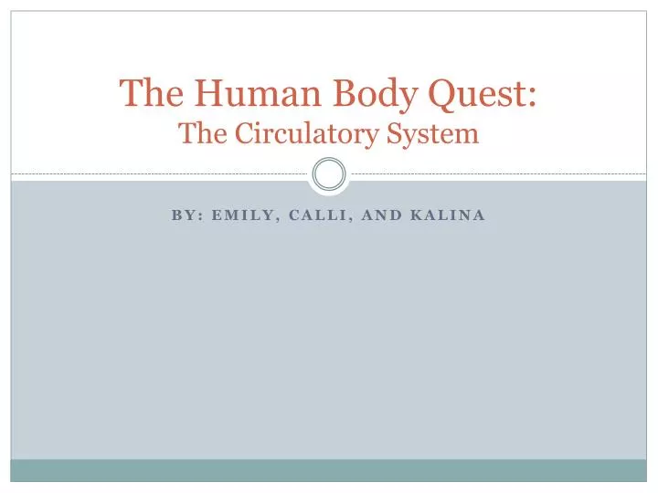 the human body quest the circulatory system