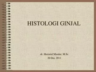 histologi ginjal