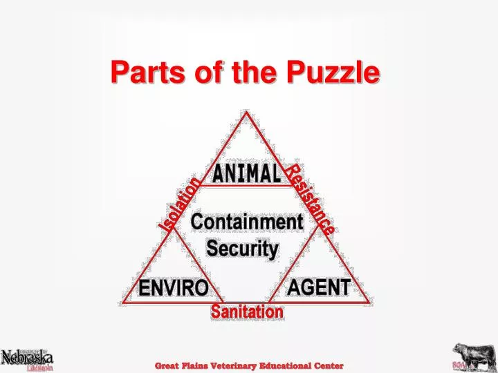 parts of the puzzle