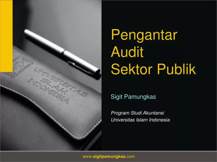pengantar audit sektor publik