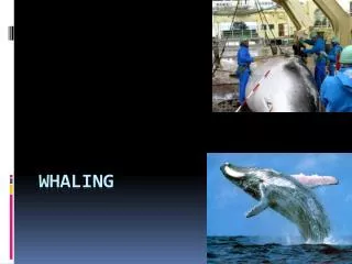 Whaling