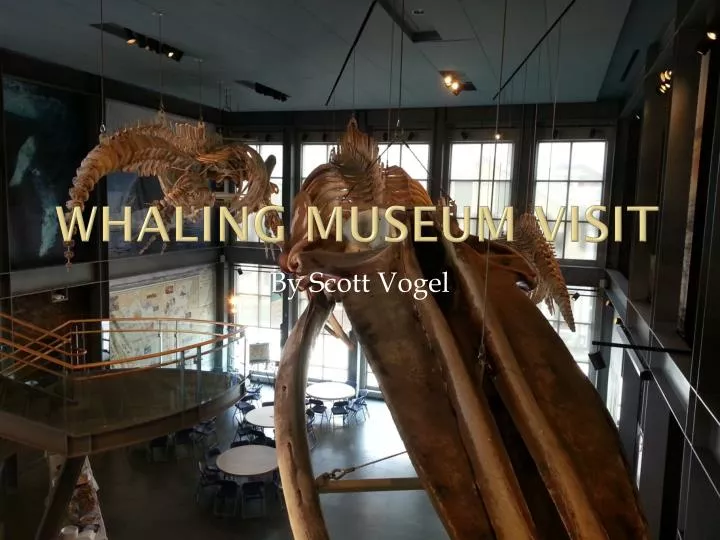 whaling museum visit