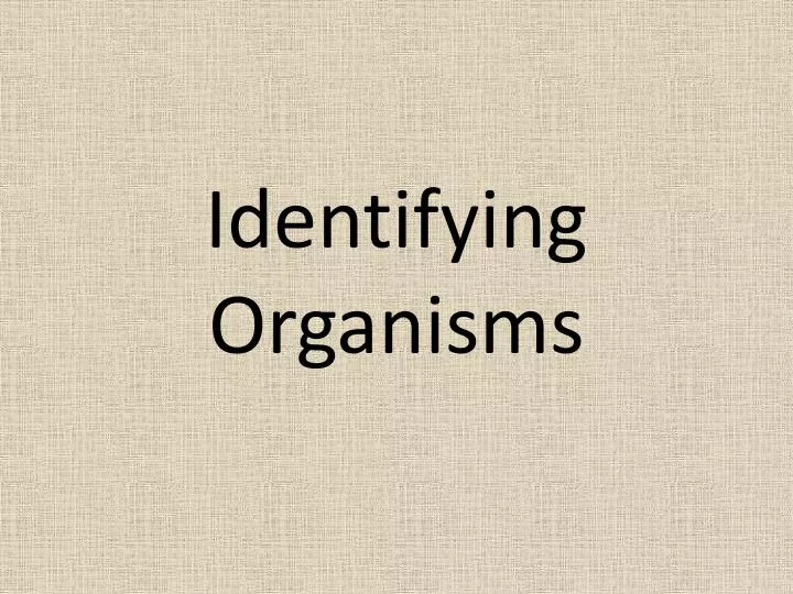 identifying organisms