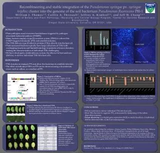 Recombineering and stable integration of the Pseudomonas syringae pv . syringae