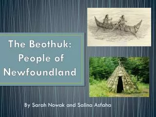 The Beothuk : People of Newfoundland