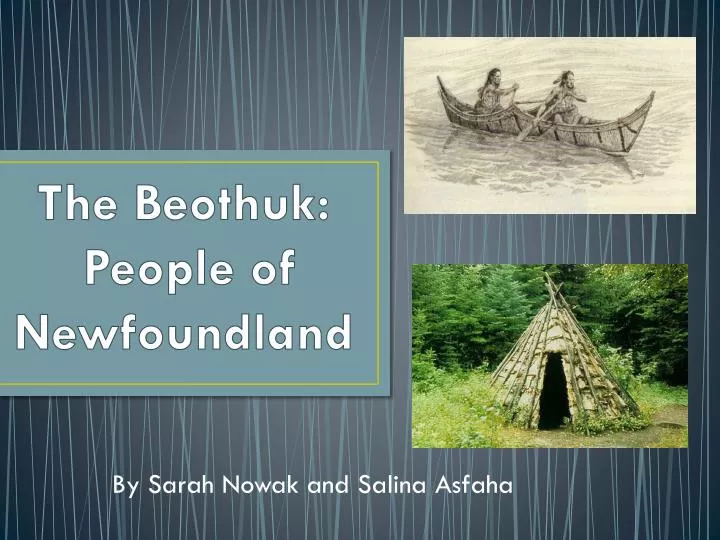 the beothuk people of newfoundland
