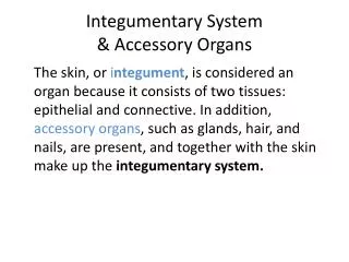 Integumentary System &amp; Accessory Organs