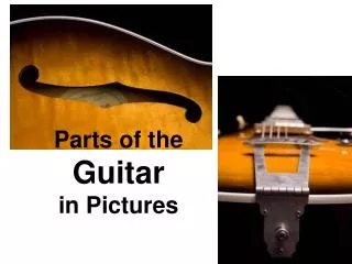 Parts of the Guitar in Pictures