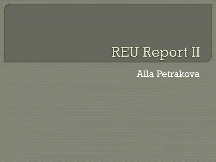 reu report ii