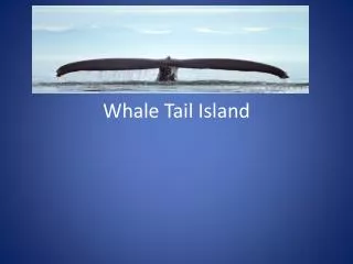 Whale T ail Island