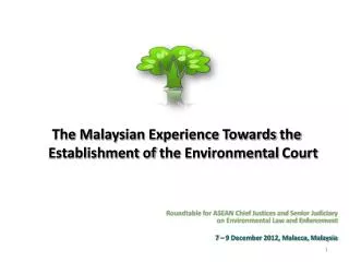 Roundtable for ASEAN Chief Justices and Senior Judiciary on Environmental Law and Enforcement