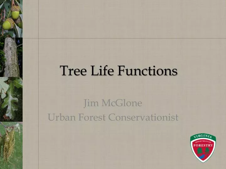 tree life functions