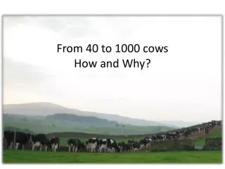 From 40 to 1000 cows How and Why ?