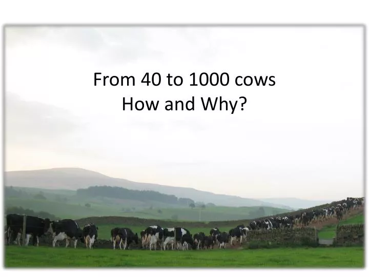from 40 to 1000 cows how and why