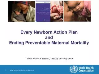 Every Newborn Action Plan and Ending Preventable Maternal Mortality