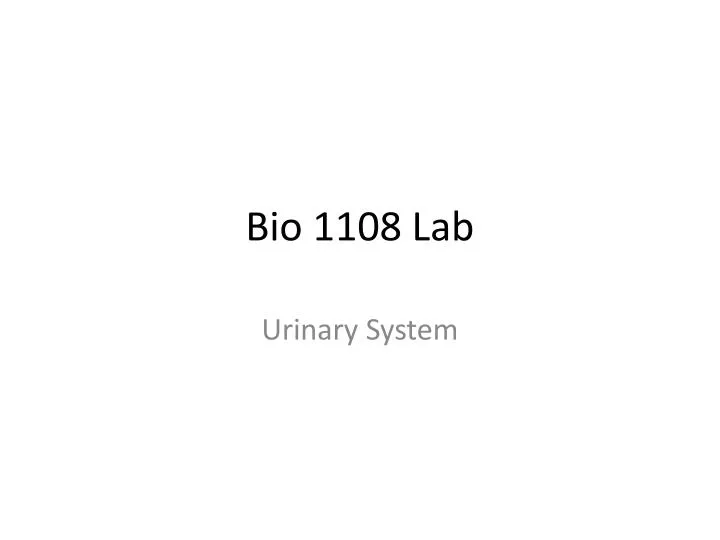 bio 1108 lab