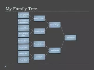 my family tree