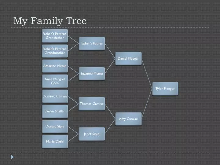 my family tree