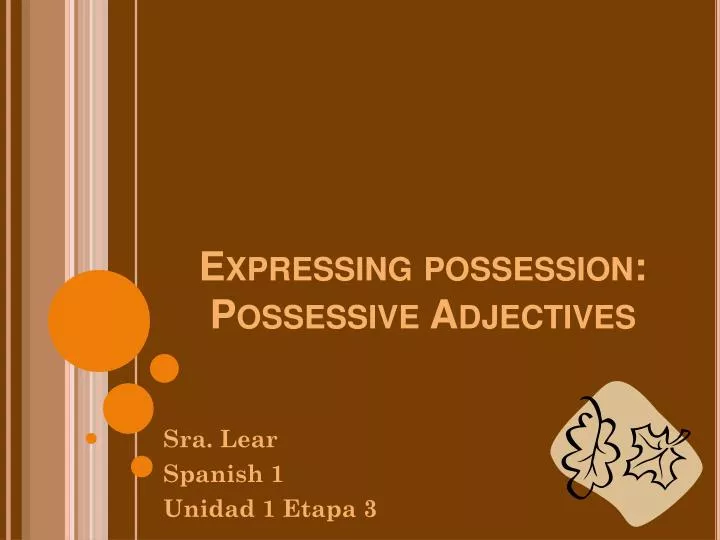 expressing possession possessive adjectives