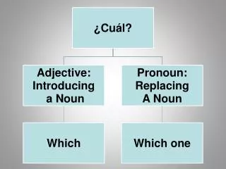 Adjective -- Pronoun