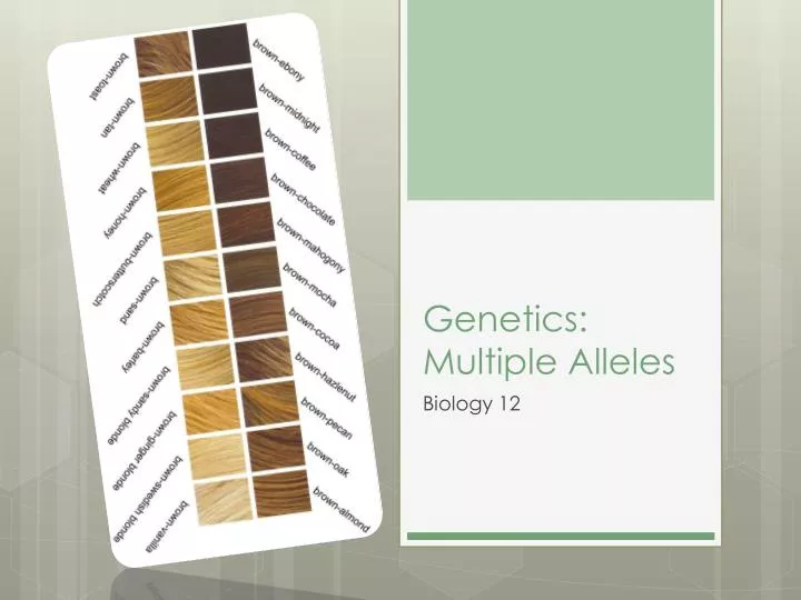 genetics multiple alleles