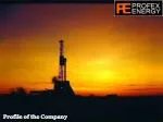Profile of the Company - slide 1