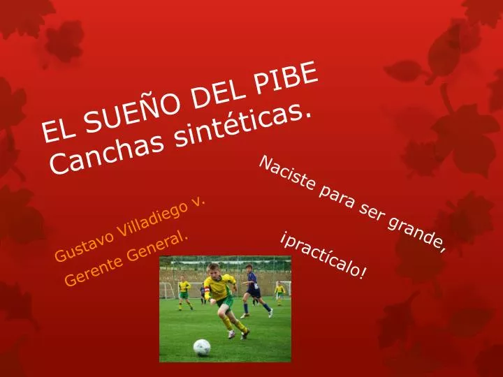 el sue o del pibe canchas sint ticas