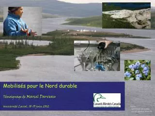 title slide