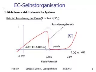 ec selbstorganisation