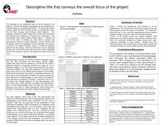 Descriptive title that conveys the overall focus of the project