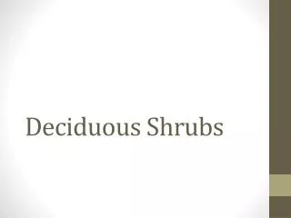 Deciduous Shrubs