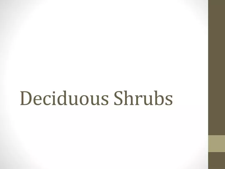 deciduous shrubs