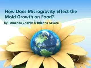How Does Microgravity E ffect the Mold G rowth on Food?