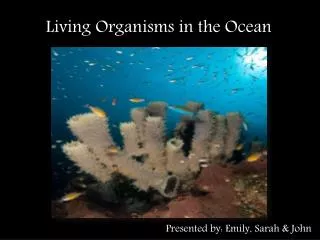 Living Organisms in the Ocean
