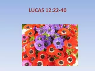 lucas 12 22 40