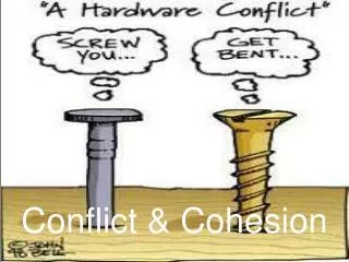 Conflict &amp; Cohesion