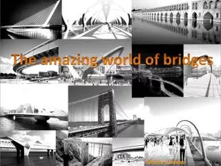 The amazing world of bridges