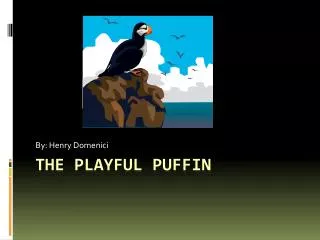 The Playful Puffin