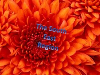The South East Region