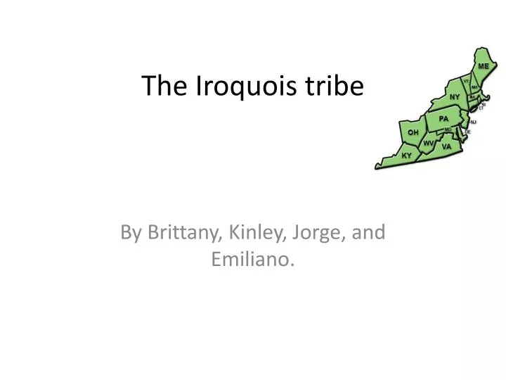 the iroquois tribe