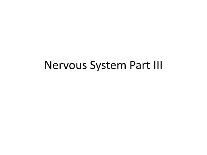 nervous system part iii