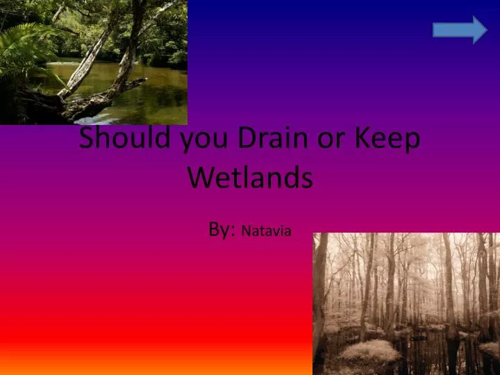 should you drain or keep wetlands